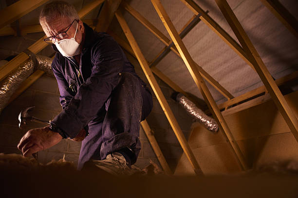 Best Eco-Friendly Insulation in Gladeview, FL
